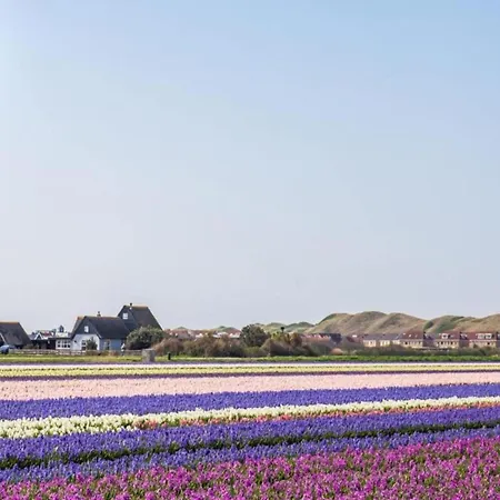 Appartamento Cozy Near Dunes Julianadorp