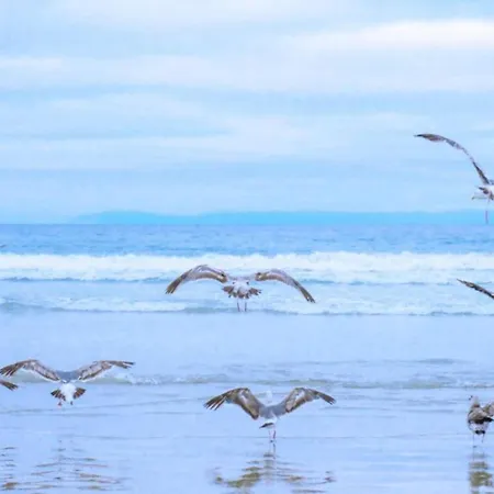 شقة Cozy Near Dunes *